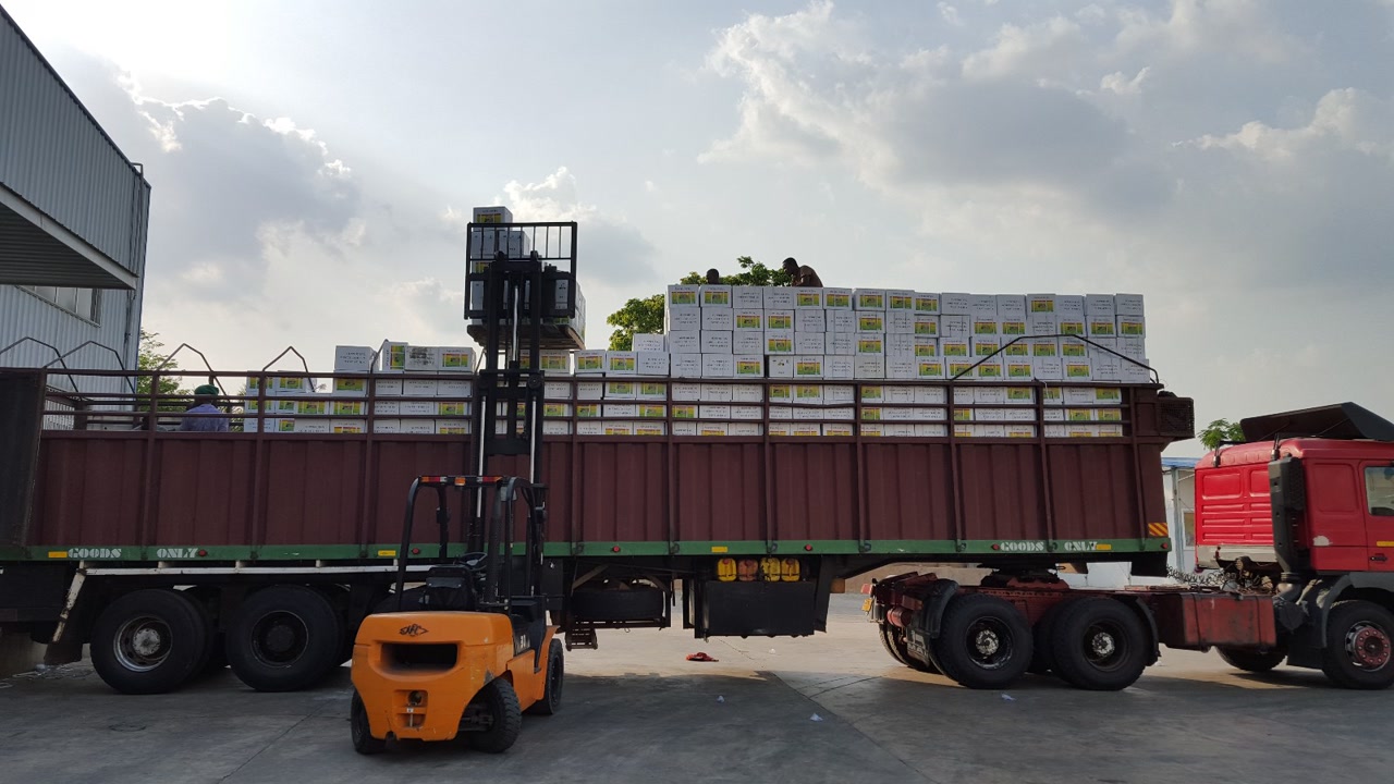 1727236005206330.jpg 061.jpg